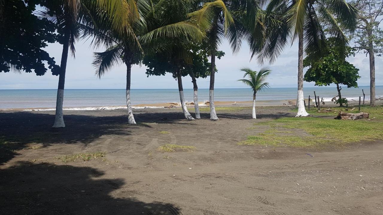 Sunrise Inn Puerto Armuelles Ngoại thất bức ảnh